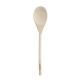 Wooden Spoon 16