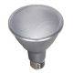 Bulb PAR30 LED 12.5W 5000K