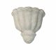 Wall Sconce Coral SmShell