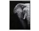 Wall Art Elephant Frame 53x73c